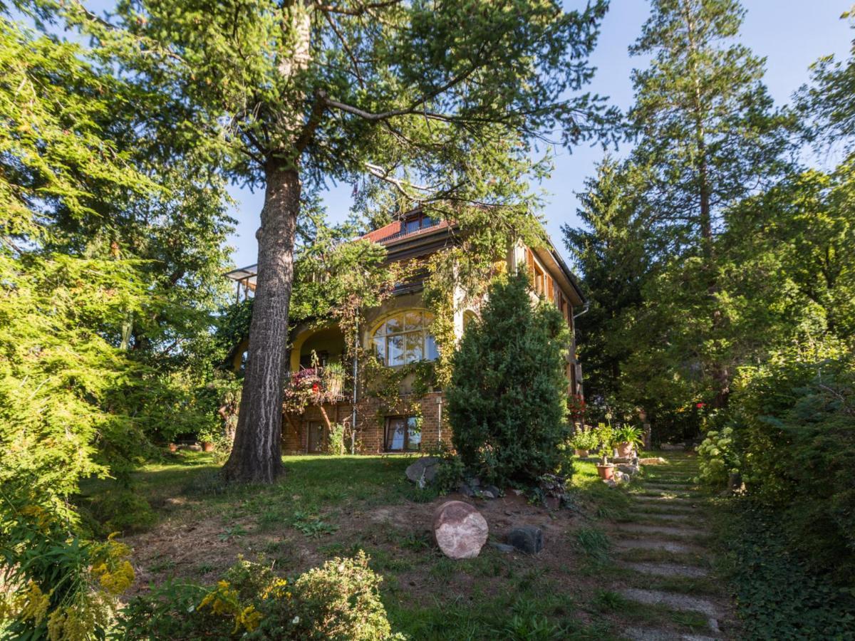 Ferienwohnung Dresden-Pillnitz - Elbhang-Villa - "Am Zuckerhut" Bagian luar foto